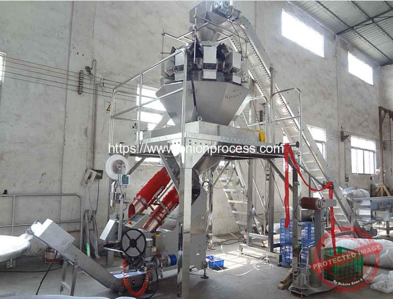 Full-Automatic-Mesh-Bag-Onion-Packing-Plant